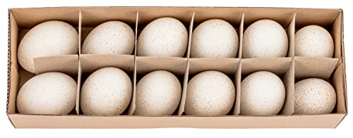 NaDeco Truthahneier Natur, in einer Box mit 12 Stück, ausgeblasen und gereinigt | Osterdeko | Truthahn Ei | Truthahnei | Truthahn Eier | Putenei | Puteneier | Dekoeier | Osterdekoration