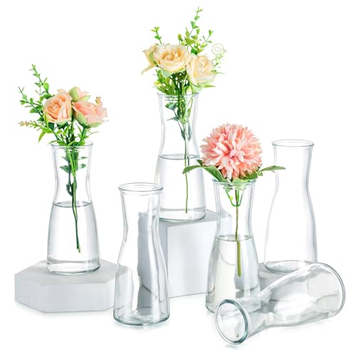 Hewory Kleine Vasen für Tischdeko: 6 Stück Vase Glas Vasen Klein Tischdeko für Hochzeitsdeko - Modern Blumenvase Glas Kleine Glasvasen Deko Vasen Set Flower Vase Schmal für Party Wohnzimmer Esszimmer