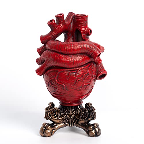 BEMKWG Gothic Anatomisches Herz Vase Modern Home Deko Harz Heart Flower Vasen Pampasgras Blumenvase Dekorative Boho Decor Aesthetic Herzvase (Rot)