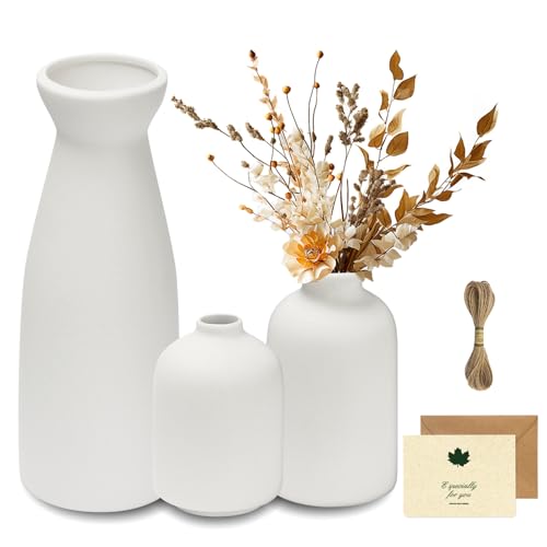 UCAMP Keramik Vase 3 Set,Weiß einzigartige Kleine Keramik Blumenvasen,Pampas Grass& Getrocknete Blumen Modernes Heimdekoration,Passend für Kamin Schlafzimmer,Küche,Wohnzimmer,Schreibtisch