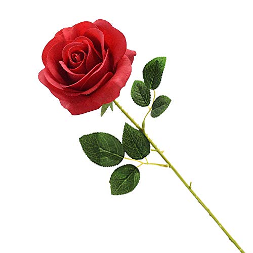 Cosswe Künstliche Seidenrose, rote künstliche Rose, ewige Blumen, einzelner Stiel als Geschenk verpackt rote Rosen für Hochzeitssträuße Jubiläen Partys Hotels Büro-Dekoration
