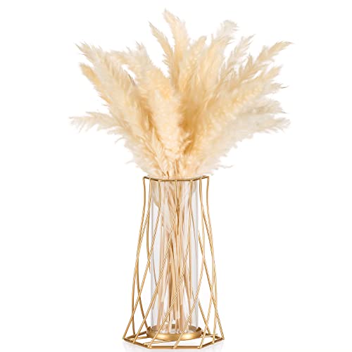 Sziqiqi Gold Vase für Pampasgras, Kleine Modern Blumenvase Vasen Deko für Tischdeko, Metall Tulpenvase Glasvase Reagenzglas Vase Glas für Wohnzimmer Hochzeit Tisch Regal Badezimmer Esstisch Fenster