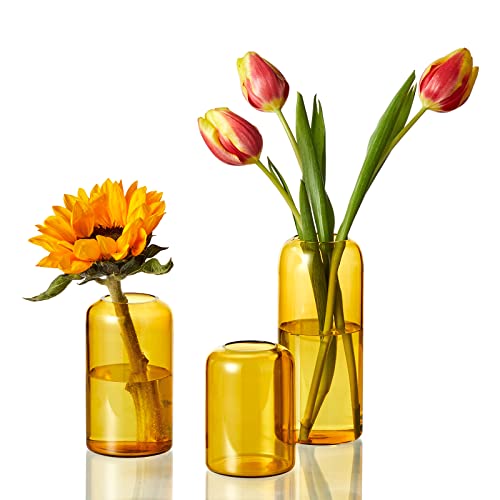 ZENS Glas Vase Deko, Klein Vasen Set 3er, Modern Amber Blumenvase Zylinder Knospe Vase mit Schmalem Mund für Hochzeit, Handgeblasen Tisch für Heimdekoration Mittelstücke
