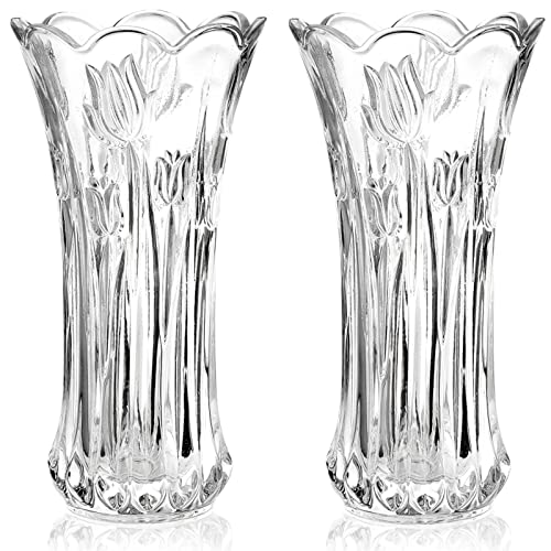 Dicunoy 2 Stück Glas Blumenvase, 24cm Große Moderne Glasvase für Tafelaufsätze, Moderne KlareTulpenvase, Rose Vase, Heavy Duty Crystal Tall Zylinder Flared Vase für Haus, Hochzeit, Wohnzimmer, Büro