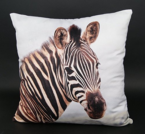 heimtexland ® Design Kissenhülle mit hochwertigem Fotodruck Digitaldruck auf super weicher Velour Qualität in 40x40 cm mit Reißverschluß - Zebra - Kissen Afrika Tier Safari Typ324
