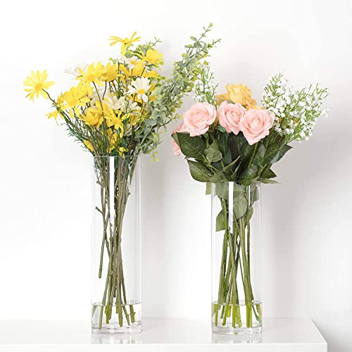 Toowood 2PCS Clear blumenvase Glas, Patented Design Tall Vase, Flower Vase for Living Room