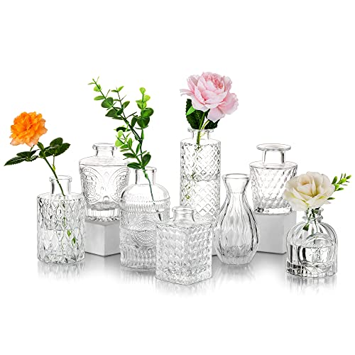 Glasseam Kleine Glasvase Tischdeko Vintage: 8er Vase Glas Klein Blumenvase Modern Deko Mini Vasen Set Schmale Tischvase Aesthetic Kristallvase Hochzeit Dekogläser Pampasgras Rose Baddekorationen